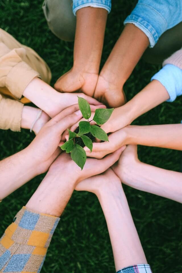 Hands together holding a plant